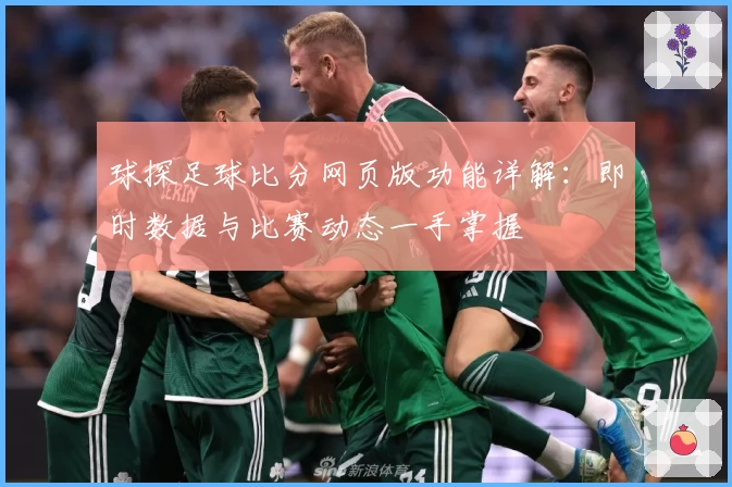 球探足球比分网页版功能详解:即时数据与比赛动态一手掌握
