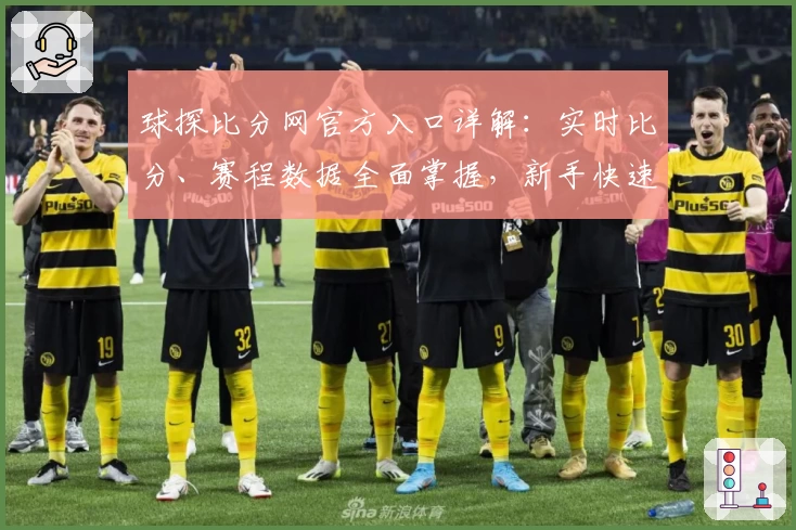 球探比分网官方入口详解：实时比分、赛程数据全面掌握，新手快速上手攻略
