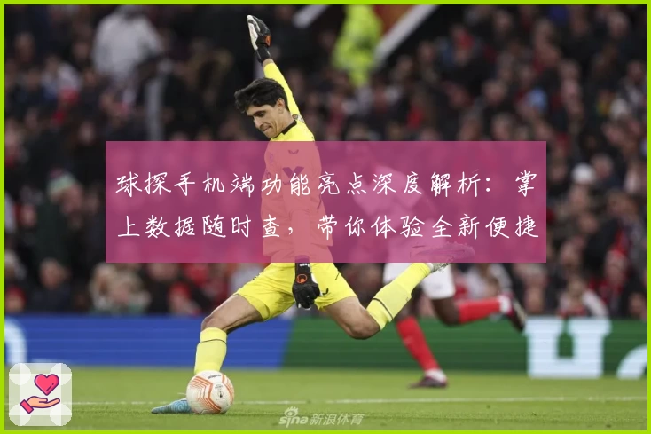 球探手机端功能亮点深度解析：掌上数据随时查，带你体验全新便捷模式