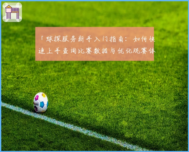 「球探服务新手入门指南：如何快速上手查询比赛数据与优化观赛体验」
