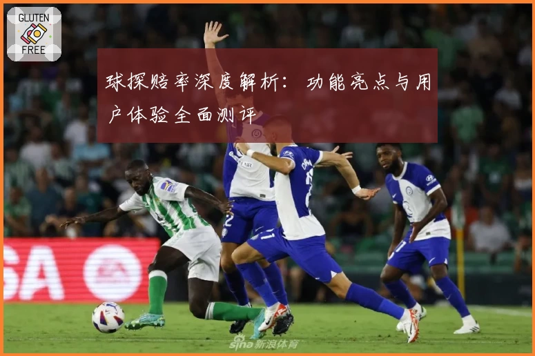 球探赔率深度解析：功能亮点与用户体验全面测评